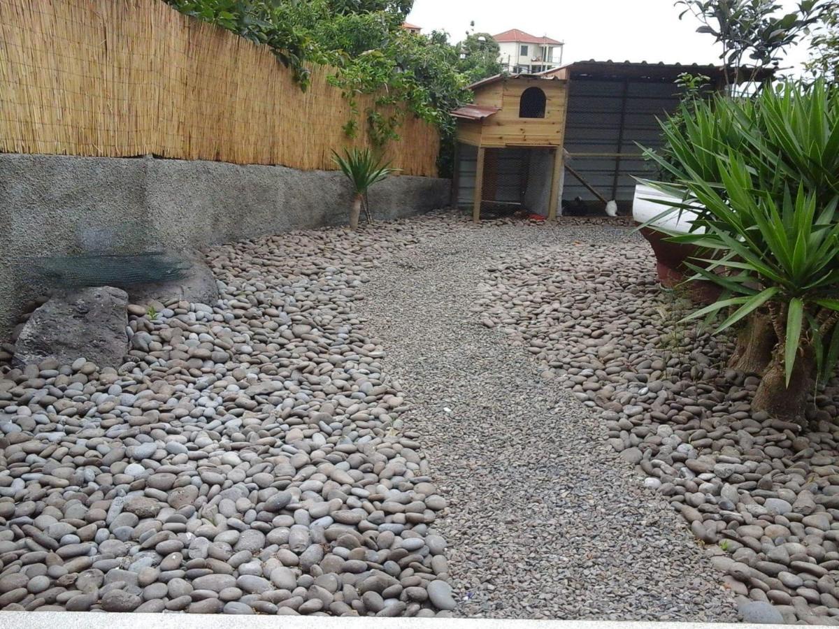 Cottage Quinze, Contemporary Designed Cottage With Swimming Pool Ponta Delgada  Exterior foto