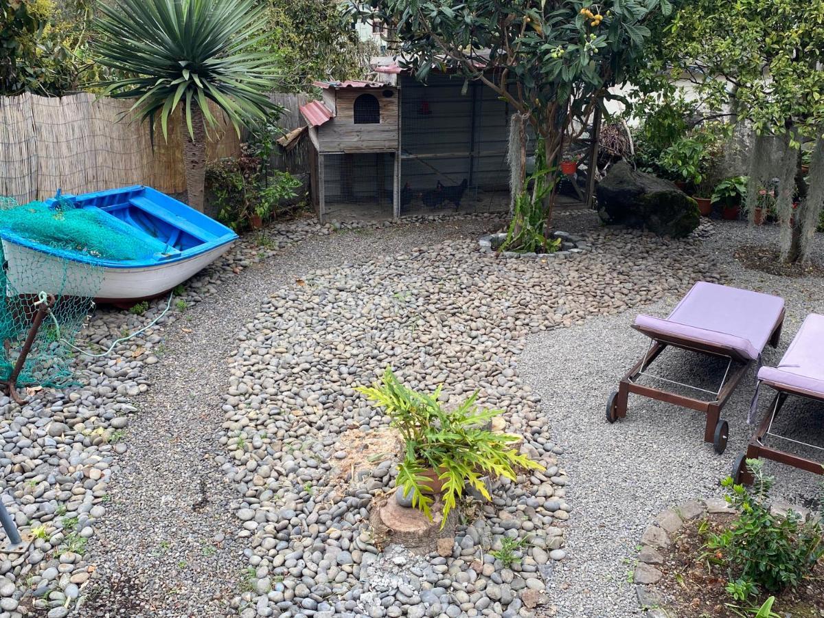 Cottage Quinze, Contemporary Designed Cottage With Swimming Pool Ponta Delgada  Exterior foto